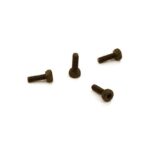 Steel Hex Socket Cap Screw (4) M2x6mm